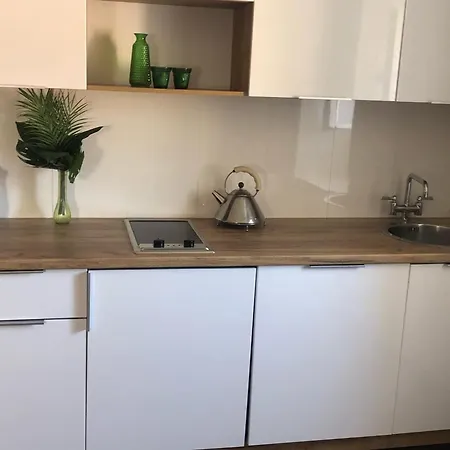 Dubravka Iza Roka- With View Apartman Dubrovnik